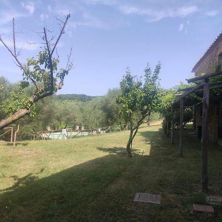 Borgo Villa A Tolli Кастельнуово-дель'Абате Экстерьер фото