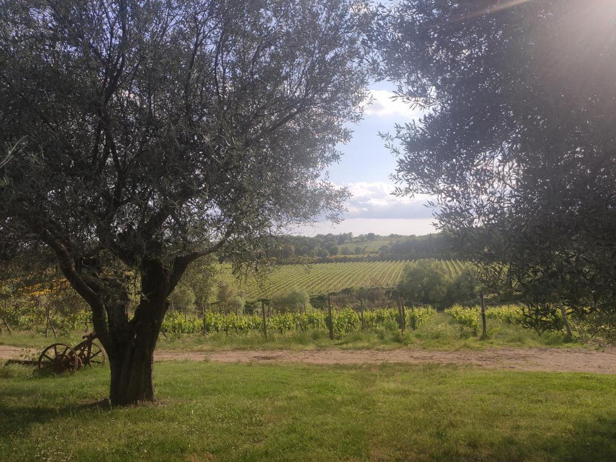 Borgo Villa A Tolli Кастельнуово-дель'Абате Экстерьер фото