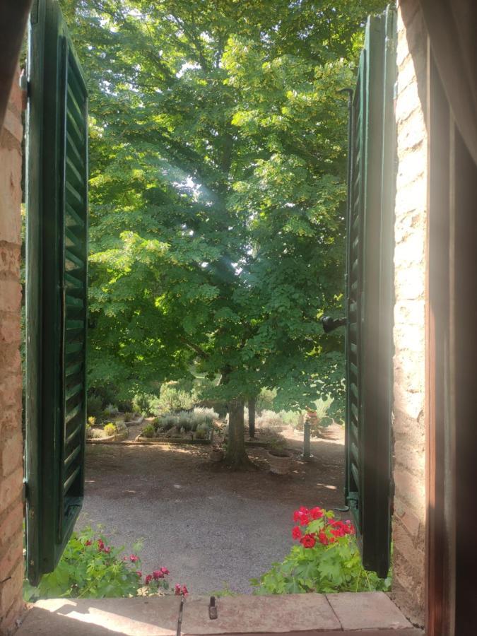 Borgo Villa A Tolli Кастельнуово-дель'Абате Экстерьер фото